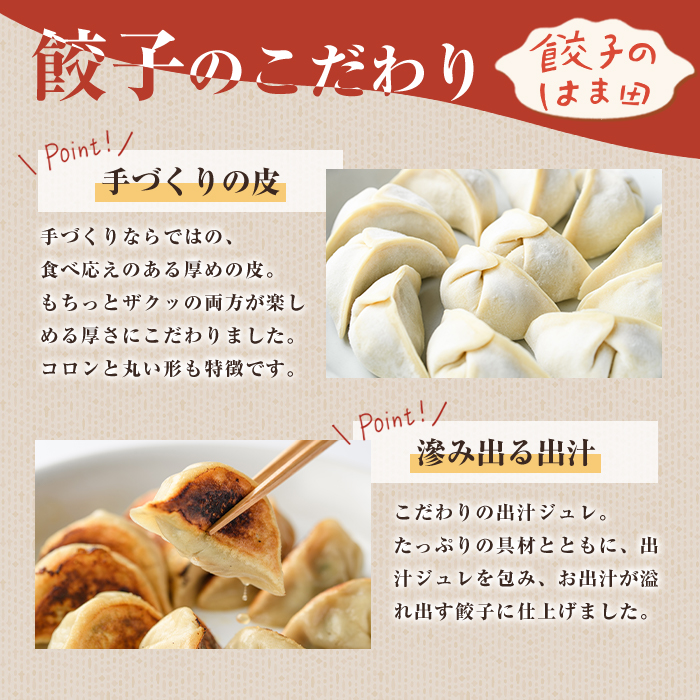 手づくり和餃子セット(ニラ餃子12個入×2袋+大葉餃子12個入×2袋・合計48個) 餃子 生餃子 ギョウザ ぎょうざ ギョーザ セット 詰め合わせ おかず お惣菜 冷凍 和風 水餃子 にら ニラ 大葉 手作り 食べ比べ 【餃子のはま田】akn096-03
