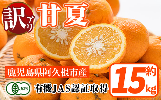 訳あり！有機JAS 甘夏(約15kg) 国産 果実 果物 フルーツ 柑橘 デザート 訳アリ 期間限定 有機栽培 【中村農場】akn084-08