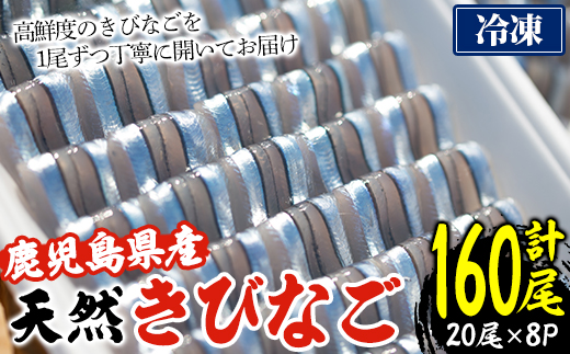 ＜冷凍＞鹿児島県阿久根産 天然きびなごのお刺身(計160尾・20尾×8パック) 国産 魚介 魚貝 海産物 鮮魚 刺身 天ぷら 冷凍配送 キビナゴ 海鮮丼 食品 セット 詰め合わせ 水産加工品 【濱崎魚類】a-12-227-z