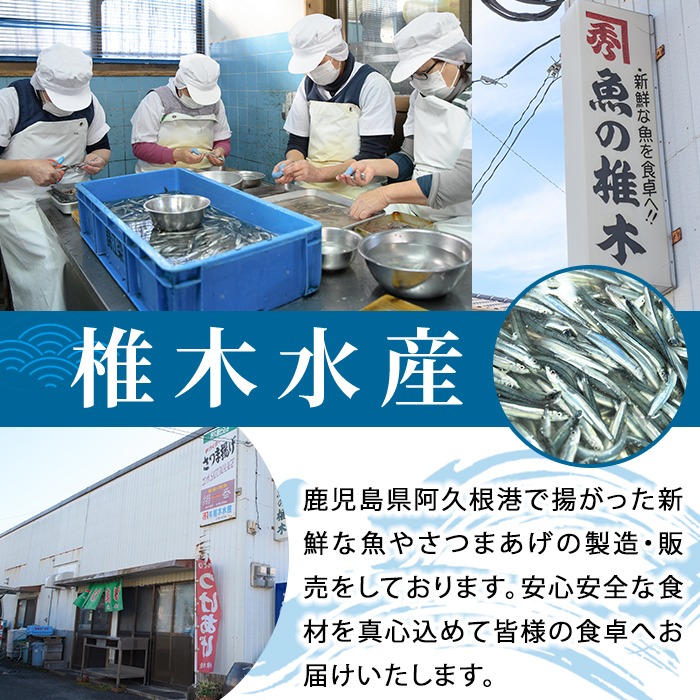 ＜2回定期便＞鹿児島県産！阿久根のきびなごお刺身セット (計560尾・40尾×7パック×2回) 冷凍 魚介類 海鮮 魚 きびなご キビナゴ 刺身 さしみ 刺し身 青魚 子魚 小分け 定期便 阿久根市産 国産 【椎木水産】akn054-17