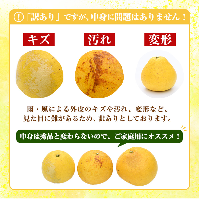 èš³ããïŒãŸãªã¹ã¿ããåã®ãµã¯ãŒãã¡ã (çŽ9.5kg) åœç£ 鹿å
å³¶çç£ é¿ä¹
æ ¹åžç£ ææ©é¡ ã¿ãã ãã«ã³ èæ æç© ãã«ãŒã ãµã¯ãŒãã¡ã æééå® æ°ééå® ãã¶ãŒã èš³ã¢ãª ãæéäŒç€ŸãŸãªã¹ã¿ããåãakn034-08