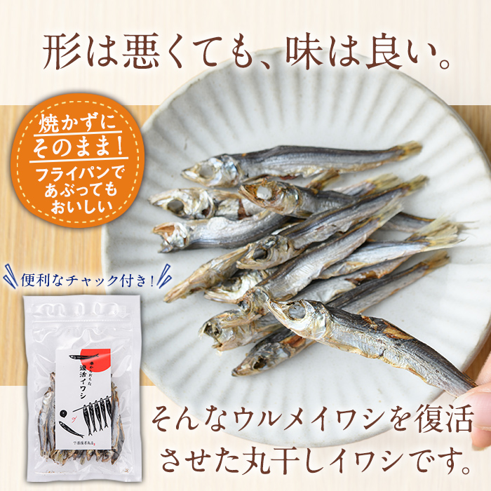 復活イワシ(10パック) おやつ お菓子 いわし イワシ 鰯 ウルメイワシ 丸干し カルシウム セット 詰め合わせ【下園薩男商店】a-13-36-z