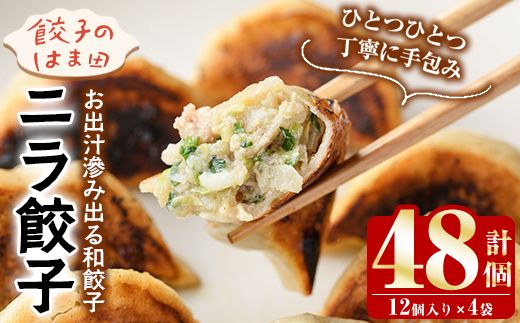 ＼テレビで紹介されました！／ニラ餃子(計48個・12個入り×4袋) 餃子 生餃子 ギョウザ ぎょうざ ギョーザ セット 詰め合わせ おかず お惣菜 冷凍 和風 水餃子【餃子のはま田】akn096-01
