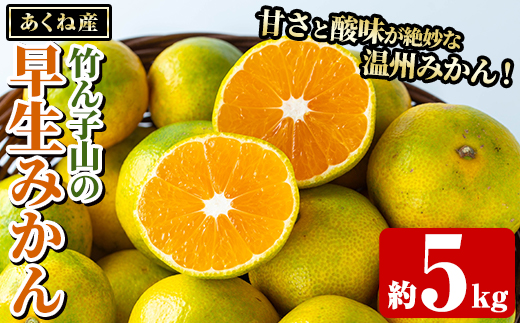 ＜先行予約受付中！2026年9月下旬以降順次発送予定＞数量限定！竹ん子山の早生みかん(約5kg) 国産 鹿児島県産 阿久根産 ミカン 蜜柑 みかん 柑橘 果物 フルーツ 温州みかん 早生みかん 果実 期間限定 【竹ん子山】akn097-02