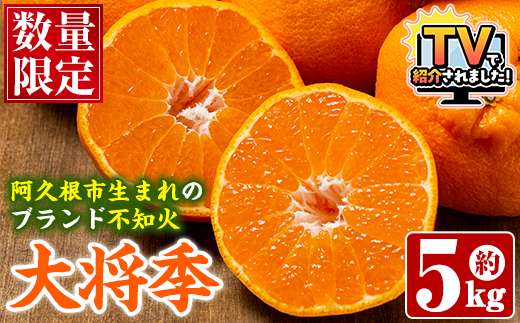 数量限定！阿久根市で生まれたオリジナル品種「大将季」(約5kg・15～24玉) 果物 フルーツ 柑橘 果実 ハウス栽培 ギフト【鹿児島いずみ農業協同組合】akn018-22