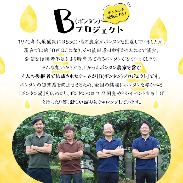 ボンタンサイダー(12本)一つ一つ手作業で皮を剥き、果汁をしぼり仕上げました！ぼんたん ボンタン 文旦 サイダー ジュース 飲み物 飲料 果汁 フルーツ 果物 炭酸【ボンタンプロジェクト】a-16-11-z