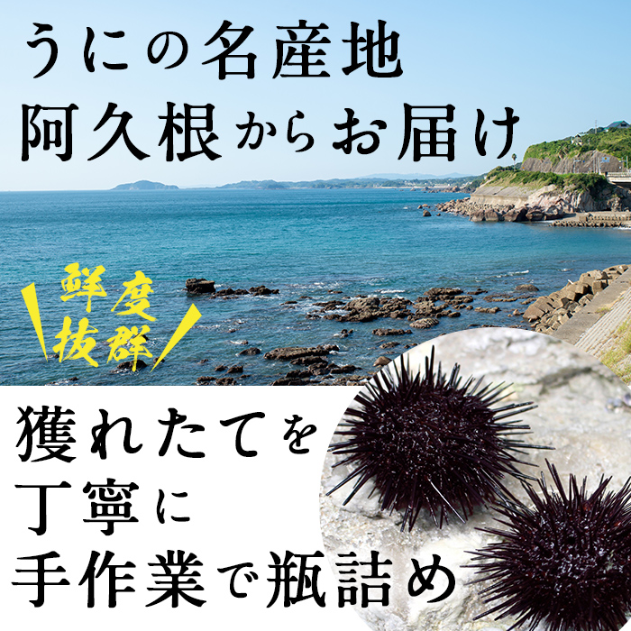 粒うにと特選漁り火Cセット(3種)国産 雲丹 うに ムラサキウニ 魚介 海産物 おつまみ おかず 海鮮丼 冷蔵配送 鹿児島県産 阿久根市産【雲丹屋本店松岡】a-24-5