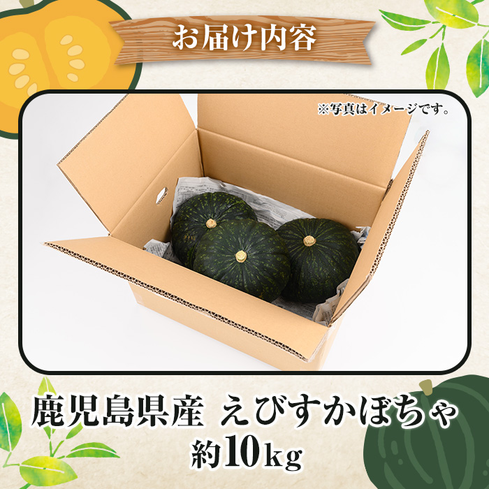 ＜先行予約受付中！2025年5月以降発送予定＞鹿児島県産 えびすかぼちゃ(約10kg) 国産 野菜 かぼちゃ カボチャ 南瓜 煮物 天ぷら バーベキュー BBQ スイーツ お菓子【松永青果】a-24-40-z