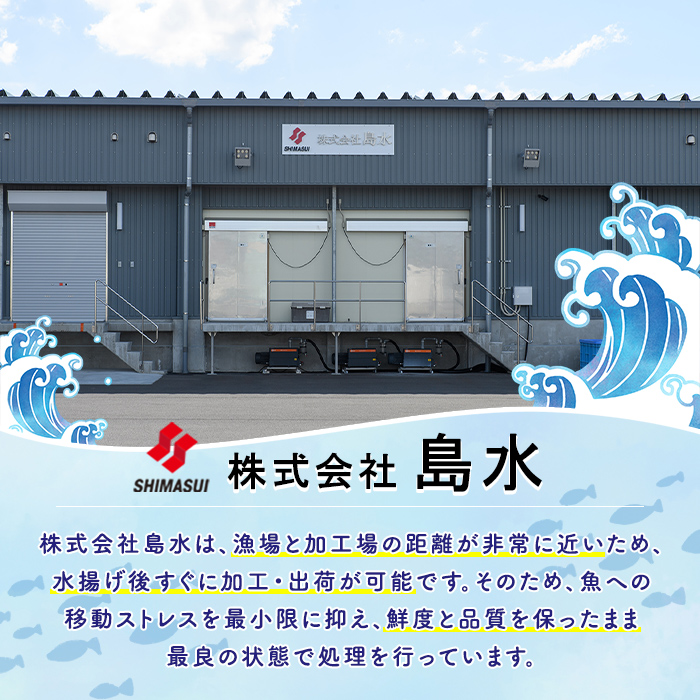 ブリの切り身(真空パック・約1kg) 国産 鹿児島県産 ブリ 鰤 魚貝 魚介 海産物 焼き魚 煮つけ ブリカツ 真空 【株式会社島水】akn102-03