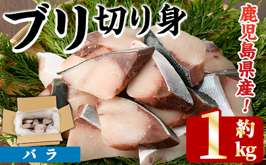 ブリの切り身(バラ・約1kg) 国産 鹿児島県産 ブリ 鰤 魚貝 魚介 海産物 焼き魚 煮つけ ブリカツ バラ 【株式会社島水】akn102-01