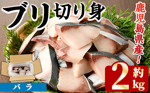 ブリの切り身(バラ・約2kg) 国産 鹿児島県産 ブリ 鰤 魚貝 魚介 海産物 焼き魚 煮つけ ブリカツ バラ 【株式会社島水】akn102-02