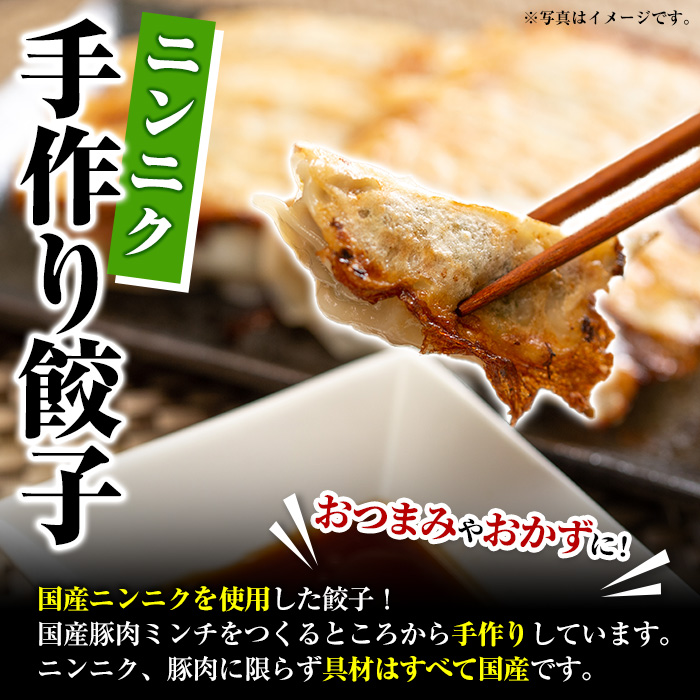 ＜訳あり定期便・全3回＞人気のお惣菜定期便 国産 ササミ 鶏肉 とり肉 おかず 惣菜 真空冷凍 揚げ物 ギョウザ ぎょうざ お肉 から揚げ 鶏料理 冷凍 真空パック【スーパーよしだ】a-41-4-z