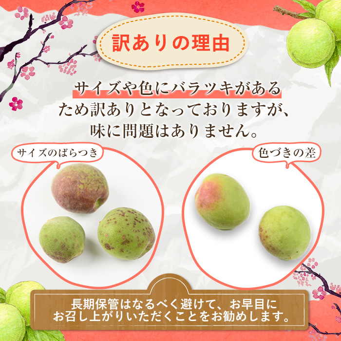 ＜先行予約受付中！2026年5月下旬以降順次発送予定＞訳あり！鹿児島県産 南高梅(約4kg) 国産 果物 梅 うめ ウメ ナンコウウメ 和食 梅干し 梅酒 梅シロップ 訳アリ サイズ混合 期間限定【松永青果】akn053-09