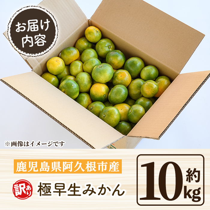 ＜先行予約受付中！2026年9月中旬以降順次発送予定＞ 訳あり！極早生みかん(約10kg) 国産 みかん 極早生 早生 柑橘 果物 フルーツ デザート 果実 期間限定 数量限定 【古田果樹園】akn093-11
