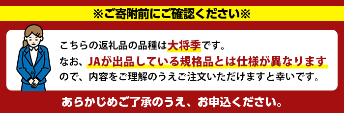 ＜先行予約受付中！2026年12月上旬以降順次発送予定＞ ＼テレビで紹介されました！／数量限定！鹿児島県産加温ハウス栽培の不知火「大将季」(計約3kg) 旬 フルーツ 果物 柑橘 みかん【三笠農業生産】akn051-07
