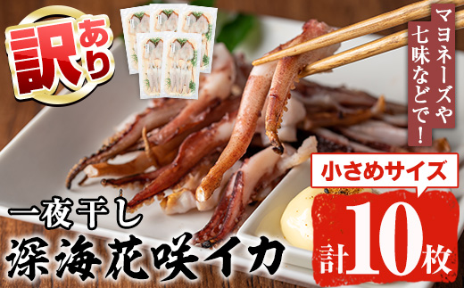 ＜訳あり＞数量限定！深海花咲イカ(計10枚) 国産 いか 一夜干し 干物 ひもの 魚介 加工品 おつまみ おかず 訳あり【福美丸水産】a-14-46