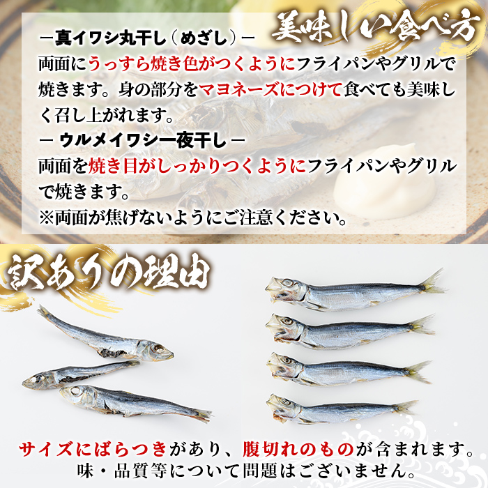 訳あり！イワシ丸干しセット(合計200尾以上) 国産 鹿児島県産 阿久根市産 魚 魚介 水産 訳あり 訳アリ いわし 鰯 ウルメイワシ うるめいわし めざし 真イワシ 真いわし マイワシ まいわし 丸干 一夜干 食べ比べ セット 詰め合わせ 【鈴木海産】akn091-03
