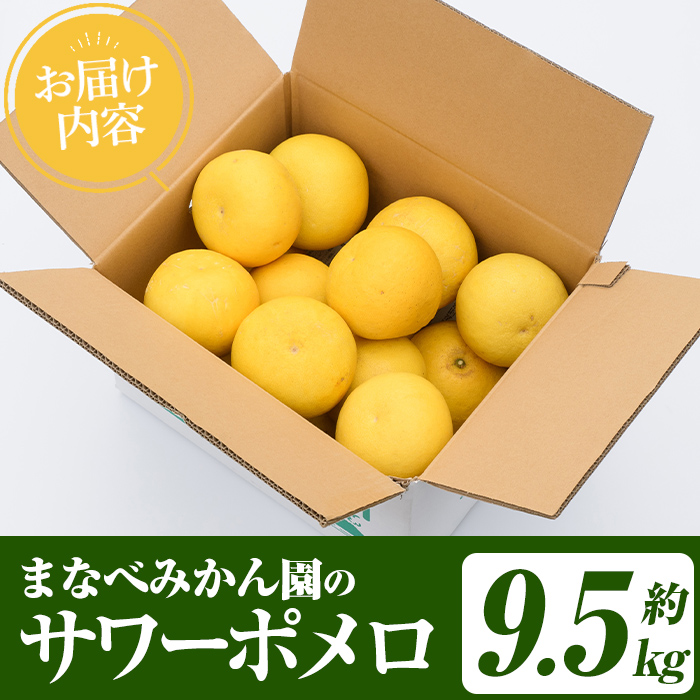 ãŸãªã¹ã¿ããåã®ãµã¯ãŒãã¡ã (çŽ9.5kg) åœç£ 鹿å
å³¶çç£ é¿ä¹
æ ¹åžç£ ææ©é¡ ã¿ãã ãã«ã³ èæ æç© ãã«ãŒã ãµã¯ãŒãã¡ã æééå® æ°ééå® èŽççš ã®ãã ãã¶ãŒã ãæéäŒç€ŸãŸãªã¹ã¿ããåãakn034-07