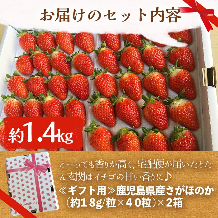 鹿児島県産いちご(さがほのか「秀大」・計約1.4kg・40粒×2箱) 鹿児島 阿久根 果物 フルーツ イチゴ いちご 苺 さがほのか デザート おやつ 期間限定【鹿児島いずみ農業協同組合】akn018-21