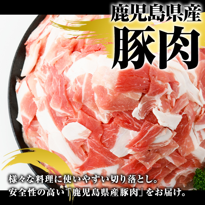＜定期便・全3回(連続)＞訳あり！鹿児島県産 豚肉切り落とし (計9kg) 切り落とし こま切れ 国産 鹿児島県産 豚肉 ブタ おかず バラ肉 個包装 小分け 薄切り 切り落し 切落し 冷凍配送 小間切れ コマ 訳アリ 【スターゼン】akn042-53