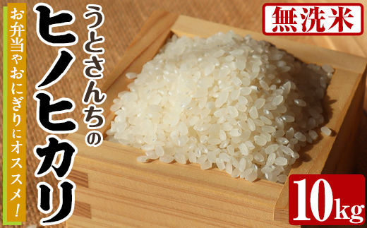 無洗米 ヒノヒカリ (10kg) 国産 米 お米 コメ 白米 ひのひかり ごはん ご飯 お弁当 おにぎり 【うとさんち】akn067-20