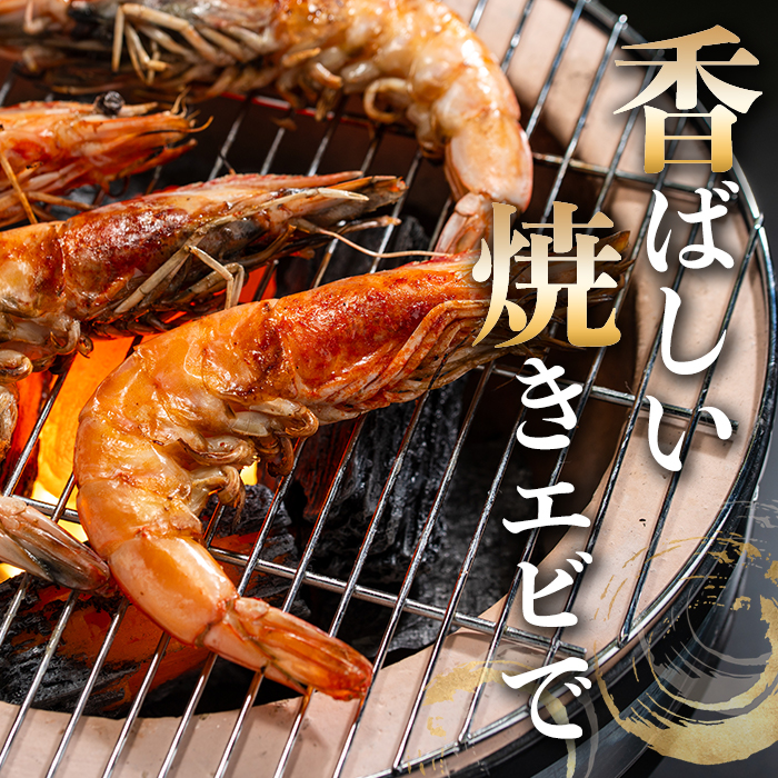 薩摩橙王エビ(4尾入×2パック) 国産 鹿児島県産 阿久根市産 えび 海老 魚貝類 魚介類 海産物 養殖 冷凍 期間限定 数量限定 焼き海老 焼きエビ バナメイエビ シロアシエビ 生食可 【リージョナルフィッシュ株式会社】akn105-01