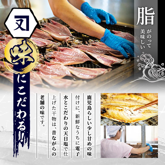 鹿児島県産！干物詰め合わせ(5種)国産 九州産 魚介 ひもの 干物 乾物 鯵 あじ かますな きびなご ウルメ セット 詰合せ【又間水産】a-12-9-z