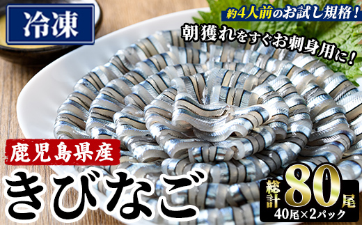 鹿児島県産！阿久根のきびなごお刺身セット (計80尾/40尾×2パック) 魚介類 冷凍 海鮮 魚 きびなご キビナゴ 刺身 さしみ 刺し身 青魚 子魚 小分け 阿久根市産 国産 定期便 お試し 【椎木水産】akn054-16