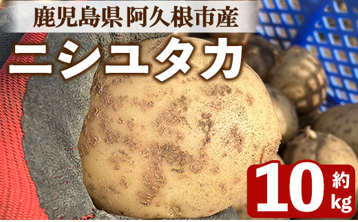 ＜先行予約受付中！2026年6月以降順次発送予定＞じゃがいも ニシユタカ(10kg) 国産 鹿児島県産 阿久根市産 じゃがいも ジャガイモ 芋 ポテト にしゆたか 野菜 期間限定 数量限定 ポテトサラダ コロッケ 常温 常温配送 【慶越農園】akn107-10