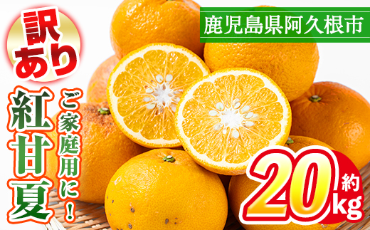 訳あり！鹿児島県産まかない紅甘夏(約20kg) 国産 鹿児島産 柑橘 訳アリ 果物 フルーツ 旬 常温保存 紅甘夏 ベニアマナツ 数量限定 期間限定 規格外 デザート 阿久根市産【三笠農業生産】akn051-05
