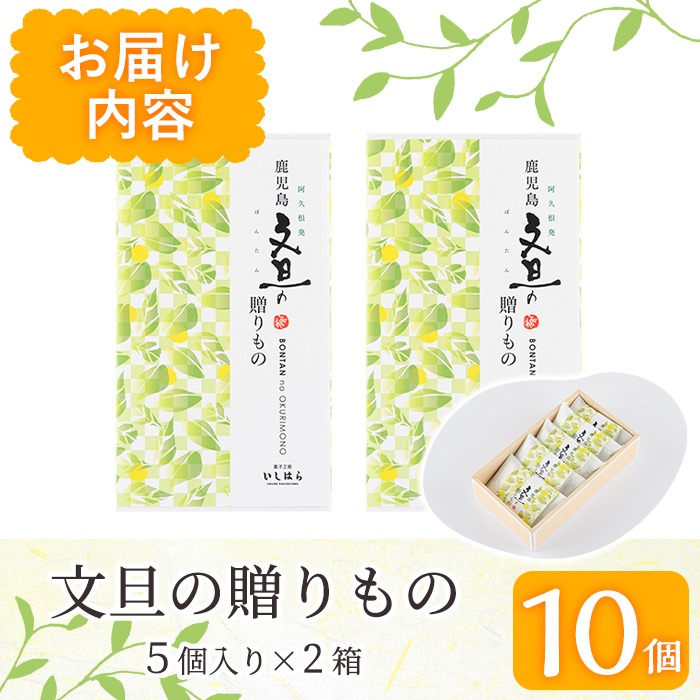 鹿児島文旦の贈りもの(計10個・5個入り×2箱) 国産 文旦 ボンタン ぼんたん お菓子 洋菓子 あんこ 白あん ホイルケーキ スイーツ おやつ 銘菓【菓子工房いしはら】a-10-12-z