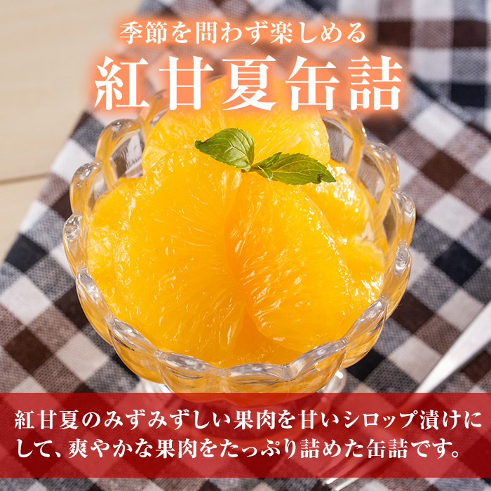 紅甘夏缶詰(295g×6缶)国産 柑橘 果物 フルーツ あまなつ 加工品 缶詰め デザート おやつ【鹿児島いずみ農業協同組合】a-14-49