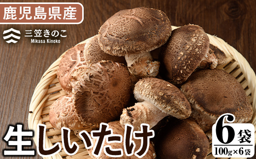 数量限定！原木生しいたけ(6袋・計1.2kg) 国産 しいたけ 生 椎茸 シイタケ きのこ 個包装 小分け 自然栽培【三笠えのき茸生産組合】a-12-219-z