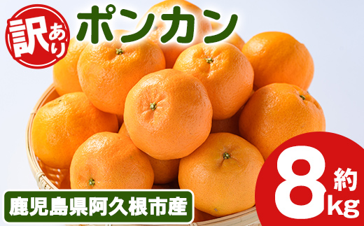 ＜先行予約受付中！2026年12月下旬以降順次発送予定＞ 訳あり！ポンカン(約8kg) 国産 ポンカン 柑橘 果物 フルーツ デザート 果実 期間限定 数量限定【古田果樹園】akn093-05