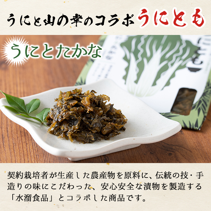 ＜鹿児島県産うに使用＞ご飯のお供「うにとも」うにとたかな(50g×4袋)国産 ウニ 雲丹 高菜 おかず 惣菜 常温【尾塚水産】a-12-142