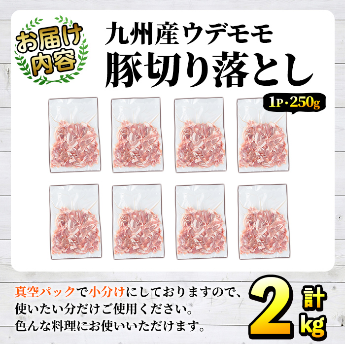 豚肉ウデモモ切り落とし(計2kg・1パック250g) 小分け 国産 豚肉 豚小間 真空パック 家庭用 豚こま 定期便 スライス 焼肉 BBQ 冷凍配送 個包装 切り落し 切落し すき焼き しゃぶしゃぶ セット 詰め合わせ 数量限定【三九】a-11-33