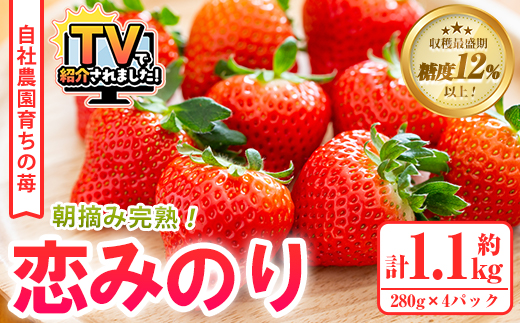 ＜先行予約受付中！2026年1月以降順次発送予定＞農園ガーデン空産いちご 恋みのりセット(計1.1kg・280g×4P)国産 イチゴ 苺 フルーツ 果物【農園ガーデン空】akn026-02
