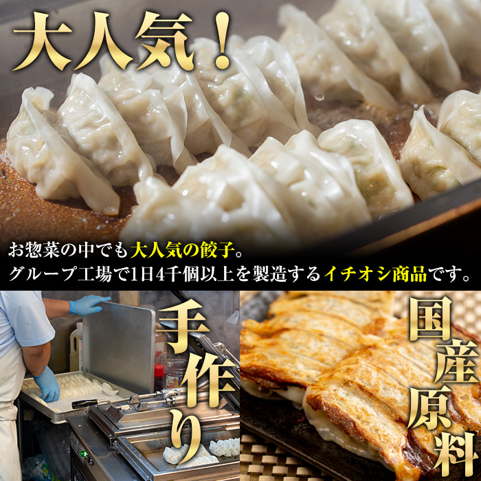 国産豚肉使用！手作りニンニク餃子(計100個・10個×10パック)国産 ギョウザ ぎょうざ お肉 にんにく おかず 惣菜 おつまみ【スーパーよしだ】a-12-113-z