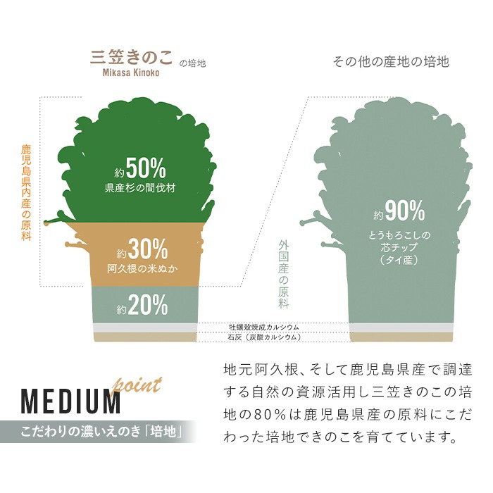 数量限定！原木生しいたけと生えのき茸セット(13袋・合計2.7kg) 国産 椎茸 個包装 小分け きのこ えのき茸 しいたけ 椎茸 シイタケ 詰め合わせ セット【三笠えのき茸生産組合】a-12-222-z