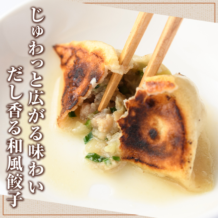 手づくり和餃子セット(ニラ餃子12個入×2袋+大葉餃子12個入×2袋・合計48個) 餃子 生餃子 ギョウザ ぎょうざ ギョーザ セット 詰め合わせ おかず お惣菜 冷凍 和風 水餃子 にら ニラ 大葉 手作り 食べ比べ 【餃子のはま田】akn096-03