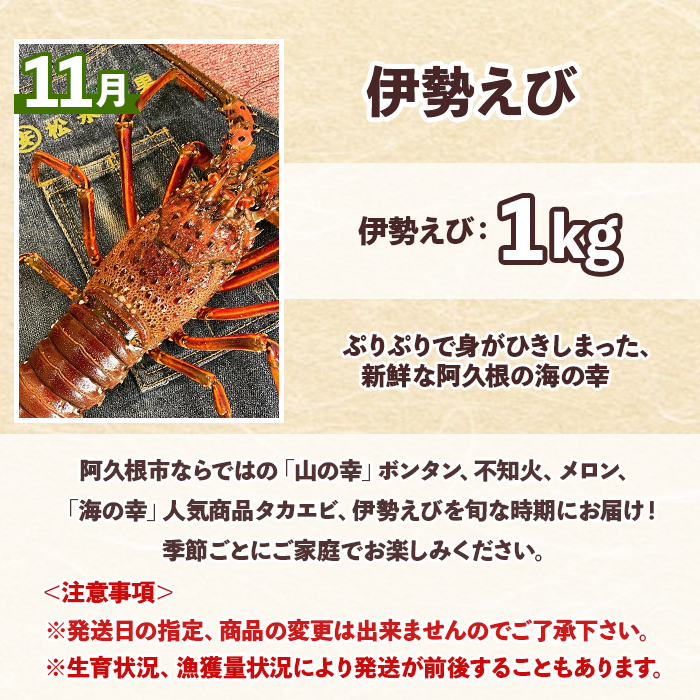 ＜定期便・全6回(奇数月)＞阿久根市の山の幸・海の幸(ぼんたん・不知火・タカエビ・メロン・伊勢海老など)国産 柑橘 みかん フルーツ 果物 魚介 頒布会【松永青果】akn053-37