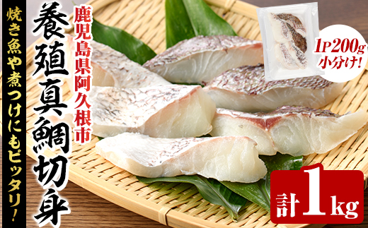 養殖真鯛切身(約1kg) 鹿児島県 阿久根市 たい タイ 真鯛 魚貝 魚介 海産物 切身 切り身 煮物 煮つけ 焼き魚 おかず おつまみ 小分け 【さるがく水産】akn028-46