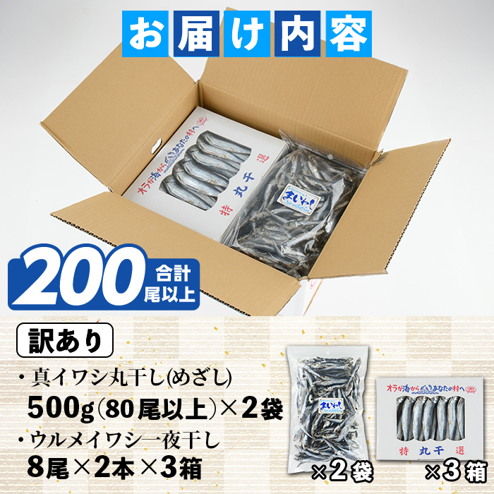 訳あり！イワシ丸干しセット(合計200尾以上) 国産 鹿児島県産 阿久根市産 魚 魚介 水産 訳あり 訳アリ いわし 鰯 ウルメイワシ うるめいわし めざし 真イワシ 真いわし マイワシ まいわし 丸干 一夜干 食べ比べ セット 詰め合わせ 【鈴木海産】akn091-03
