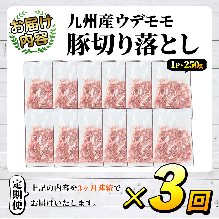 ＜定期便・全3回＞豚肉ウデモモ切り落とし(計9kg・1パック250g) 小分け 国産 豚肉 豚小間 真空パック 家庭用 豚こま 定期便 スライス 焼肉 BBQ 冷凍配送 個包装 切り落し 切落し すき焼き しゃぶしゃぶ セット 詰め合わせ 数量限定【三九】a-47-2-z