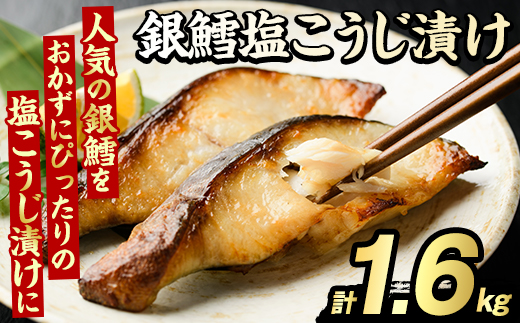 銀鱈塩こうじ漬け(計1.6kg) たら タラ おかず おつまみ 惣菜 漬魚 漬け魚 塩麹漬け リピート 魚介類 海産物 冷凍 加工品 国内加工 加熱調理 【グローバルフーズ】akn061-16