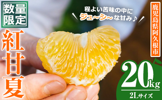 ＜先行予約受付中！2026年3月中旬以降順次発送予定＞数量限定！鹿児島県産 紅甘夏 (20kg・2L) 柑橘 フルーツ 果物 国産 みかん 期間限定 数量限定 ベニアマナツ ミカン 旬 【株式会社イロドリ】akn069-11