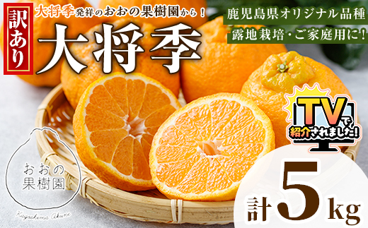 ＜先行予約受付中！2027年3月下旬以降順次発送予定＞ 数量限定！訳あり・ご家庭用！おおの果樹園の「大将季」(計5kg) 訳あり 訳アリ 果物 フルーツ 果実 柑橘 露地栽培 無加温 みかん 期間限定 家庭用 自宅用 【おおの果樹園】akn087-02