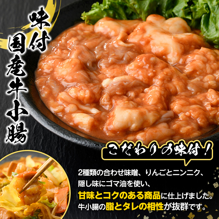 スターゼン特選！国産！牛×豚ホルモン食べ比べ4種セット(合計2.2kg)  阿久根市 国産 特産品 小腸 味付 パック 詰め合わせ 詰合せ 炒め物 鍋 モツ おかず お弁当 小分け 個包装 焼肉【スターゼン】a-12-46-z