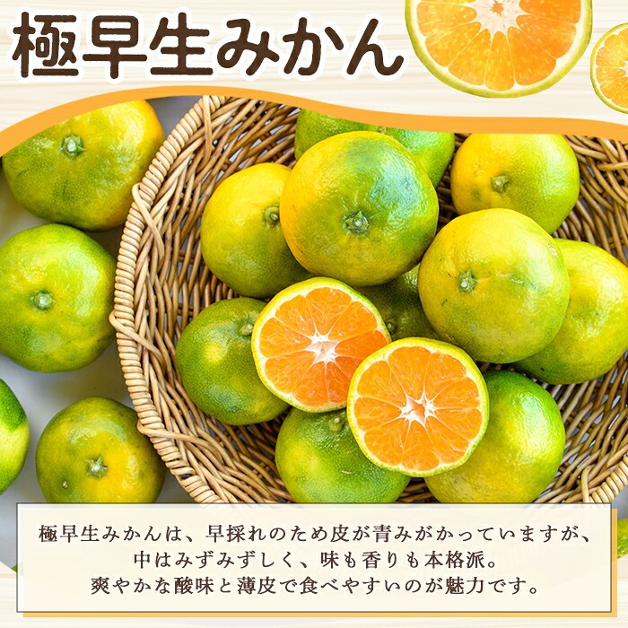 ＜先行予約受付中！2026年9月中旬以降順次発送予定＞ 訳あり！極早生みかん(約10kg) 国産 みかん 極早生 早生 柑橘 果物 フルーツ デザート 果実 期間限定 数量限定 【古田果樹園】akn093-11