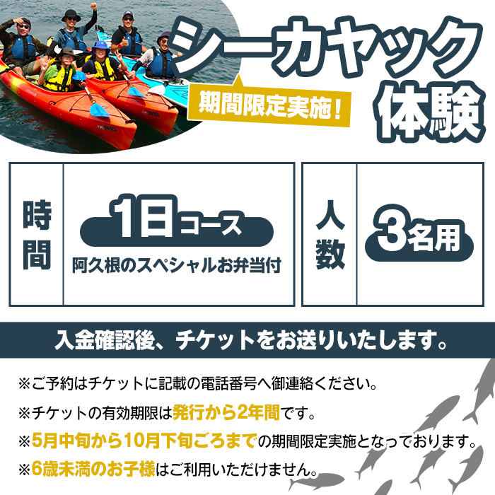 期間限定実施 シーカヤック体験チケット(1日/3名) 阿久根 シーカヤック アウトドア アクティビティ 自然 体験 ツアー チケット マリンスポーツ【パズル】a-150-1